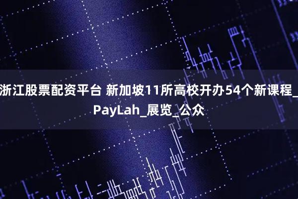 浙江股票配资平台 新加坡11所高校开办54个新课程_PayLah_展览_公众