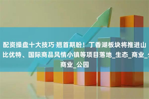 配资操盘十大技巧 翘首期盼！丁香湖板块将推进山姆、比优特、国际商品风情小镇等项目落地_生态_商业_公园